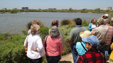 Marsh Tour